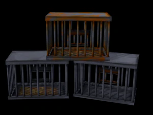 Cage 3D Model