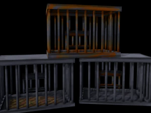 Cage 3D Model