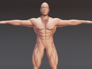 Male Anatomy Body 3D Модель