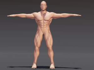 Male Anatomy Body 3D Модель