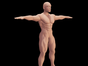 Male Anatomy Body 3D Модель
