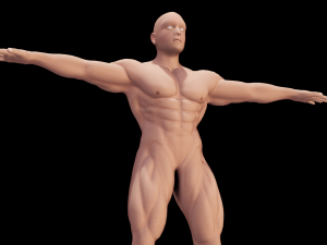 Male Anatomy Body 3D Модель