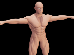 Male Anatomy Body 3D Модель