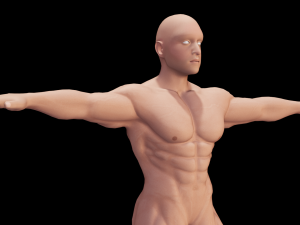 Male Anatomy Body 3D Модель