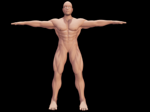 Male Anatomy Body 3D Модель