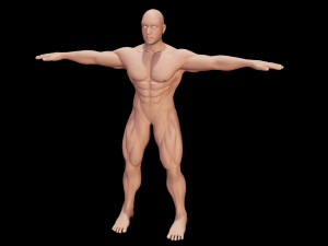 Male Anatomy Body 3D Модель