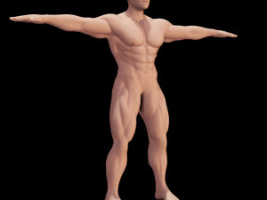 Male Anatomy Body 3D Модель