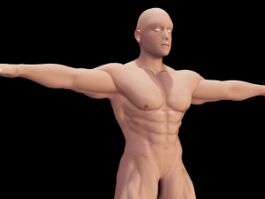 Male Anatomy Body 3D Модель