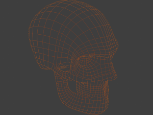 Sci fi skull 3D Модель