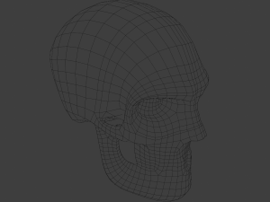 Sci fi skull 3D Модель