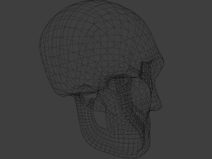 Sci fi skull 3D Модель