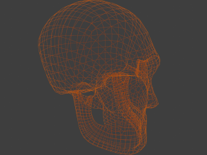 Sci fi skull 3D Модель