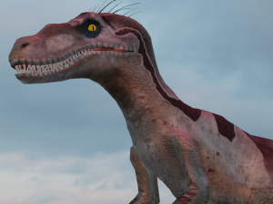 Raptor Model 3D