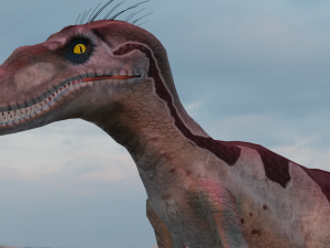 Raptor 3D 模型