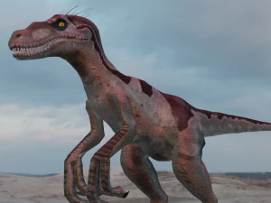 Raptor 3D Model