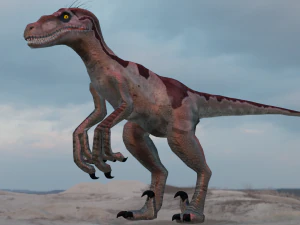 Raptor 3D Model