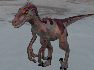 Raptor 3D 模型