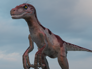 Raptor 3D 模型