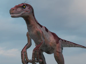 Raptor 3D Model