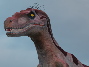 Raptor 3D 模型