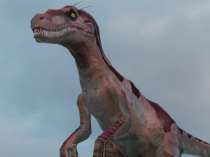 Raptor 3D 模型