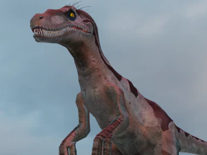 Raptor 3D Model