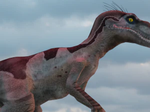Raptor 3D Model