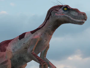 Raptor 3D Model