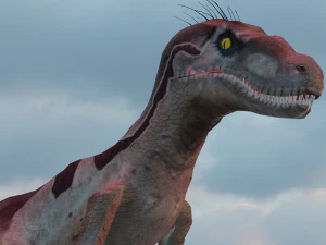 Raptor 3D Model