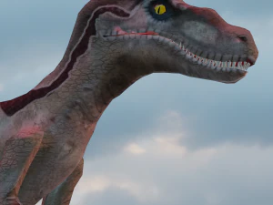 Raptor 3D Model