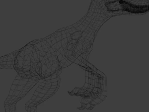 Raptor 3D Model