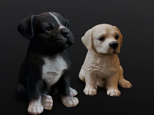 2 Dogs 3D Model