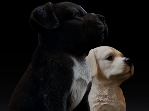 2 Dogs 3D Model