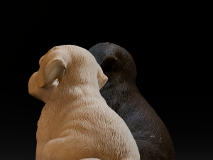 2 Dogs 3D Model