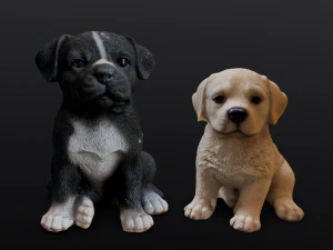 2 Dogs 3D Model