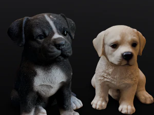 2 Dogs 3D Model