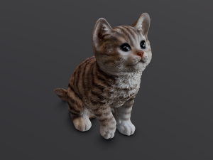 Kitten 3D-Modell