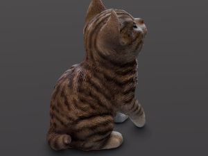 Kitten 3D-Modell