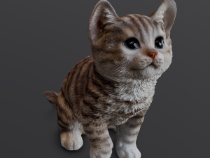 Kitten 3D-Modell