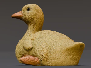 Cartoon Duck 3D Model
