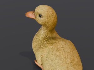 Cartoon Duck Modelo 3D