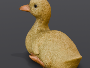 Cartoon Duck Modelo 3D