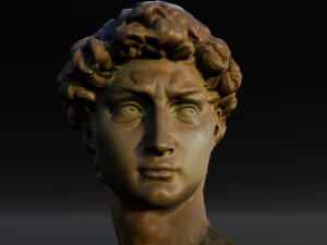 David Michelangelos Statue 3D Model