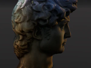 David Michelangelos Statue 3D Model