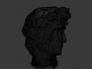 David Michelangelos Statue 3D Model