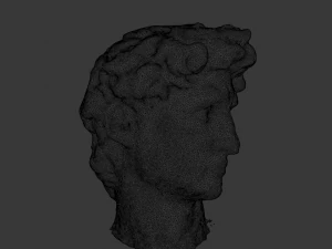 David Michelangelos Statue 3D Model