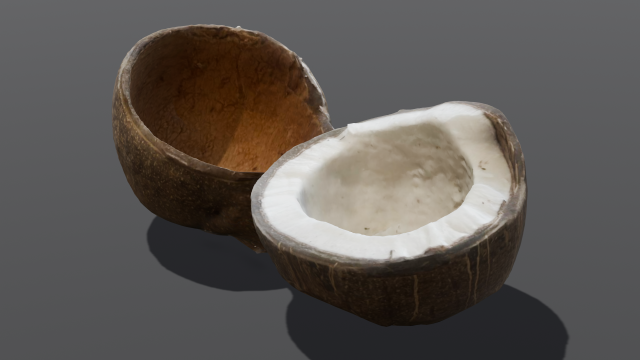 Coconut Modelo 3D .c4d .max .obj .3ds .fbx .stl .blend 