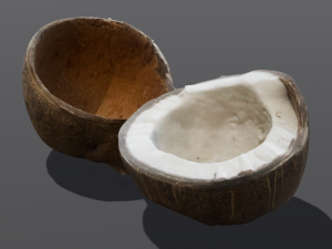 Coconut 3D Модель