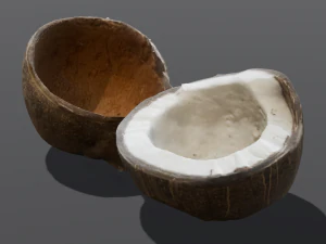 Orzech kokosowy Model 3D