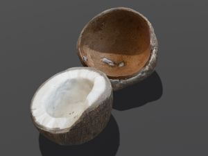 Coconut Modelo 3D